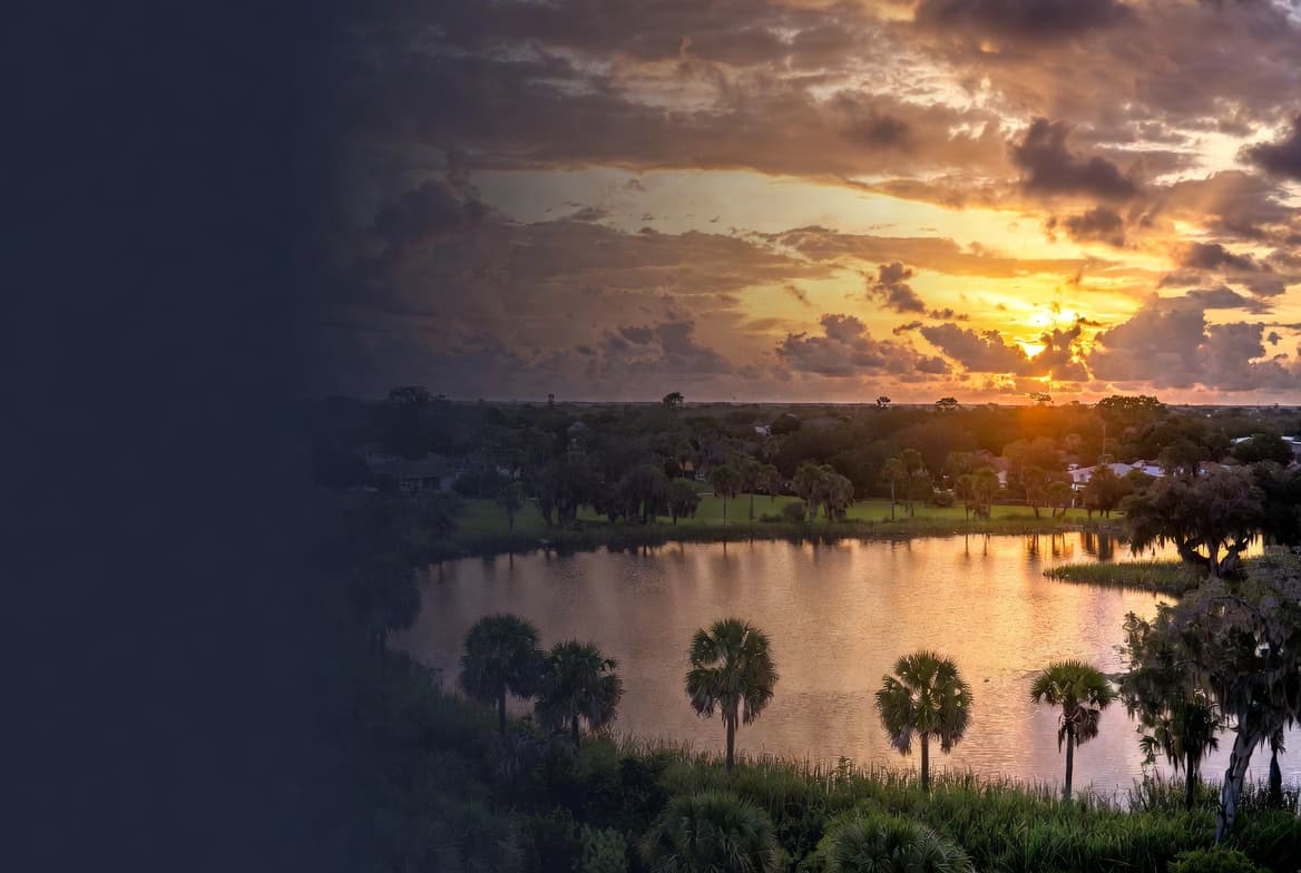 Land O Lakes neighborhood homes and natural Florida setting